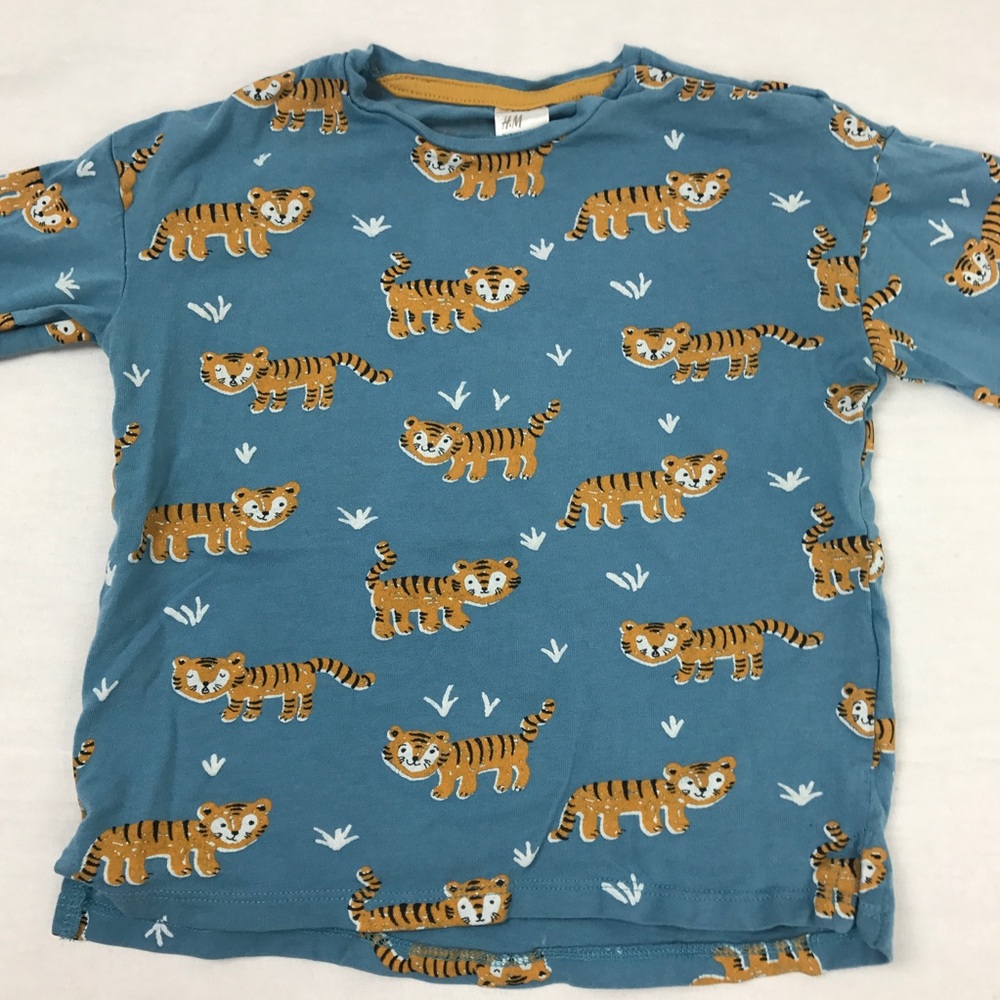 H&M Long Sleeve for Boy